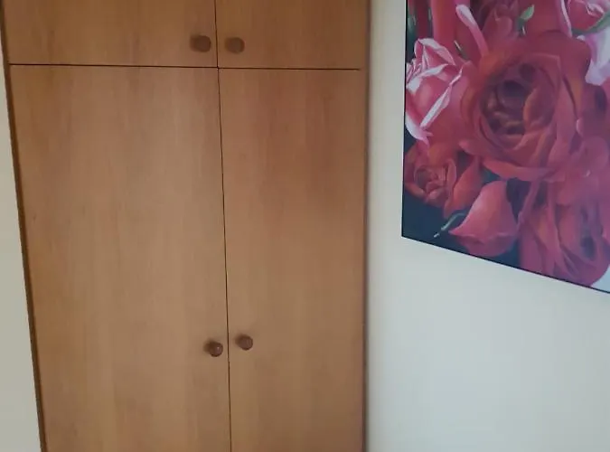 Apartman Mit Phantastischer Aussicht Auf Koblenz